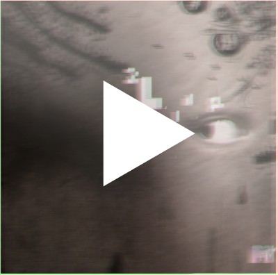 опять же, эта открытка не только является плагиатом, но и была передарена несколько раз после небольших правок. ну что я за человек