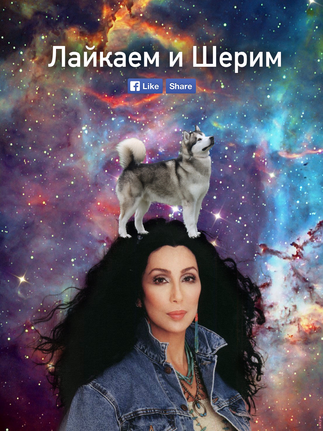 репосты не влезли в кадр