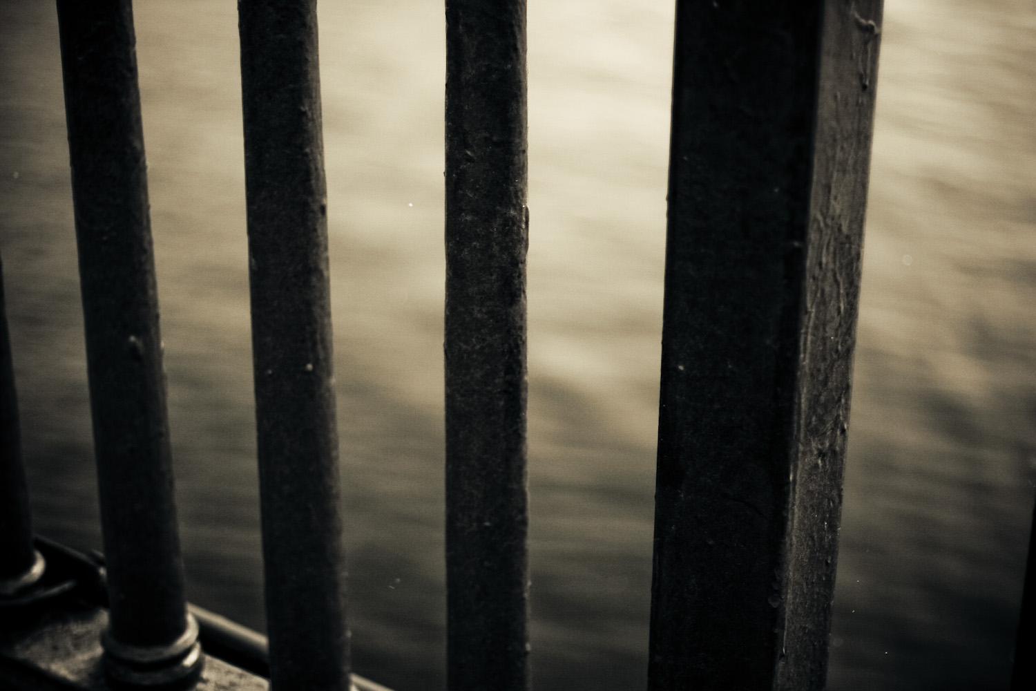 в этот день я решил прогуляться по любимому маршруту от парка горького до мгу. я надеялся на первый снег, и погода подарила снегопад